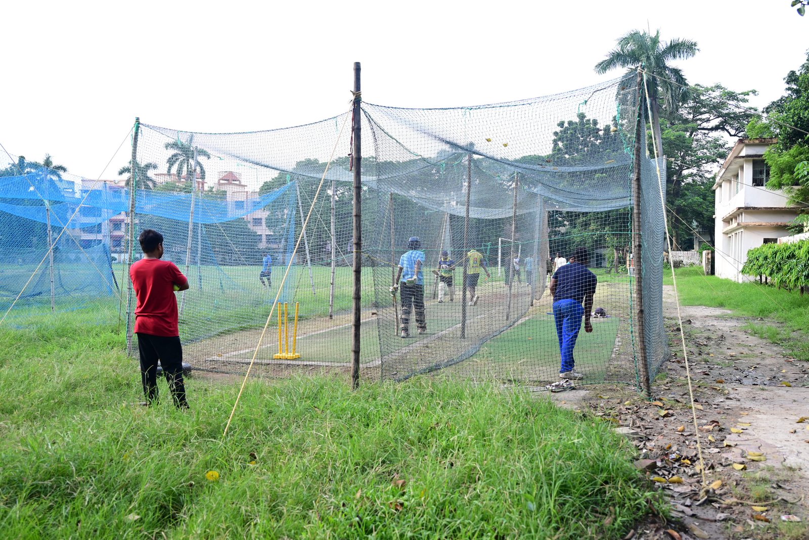 Cricket