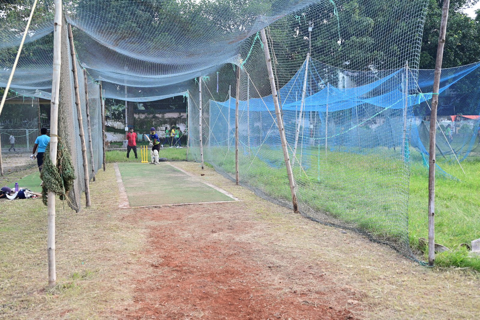 Cricket