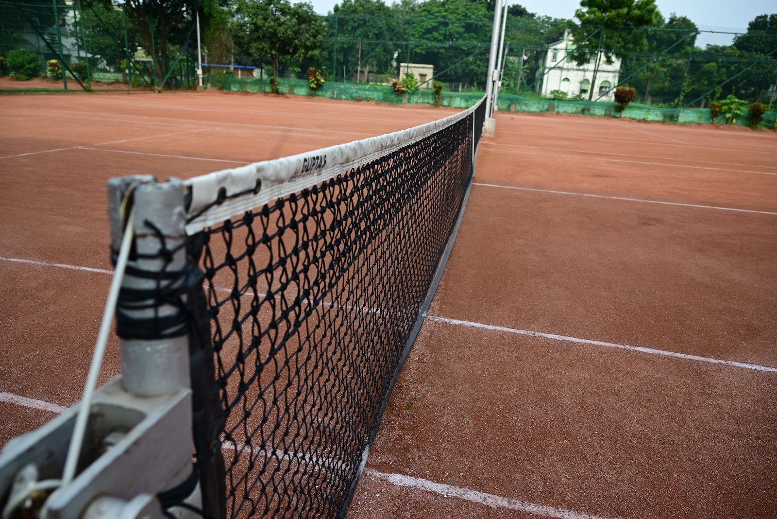 Lawn Tennis